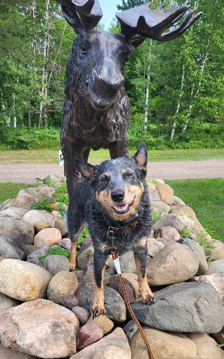 Moose Jaw Lodge & Resort